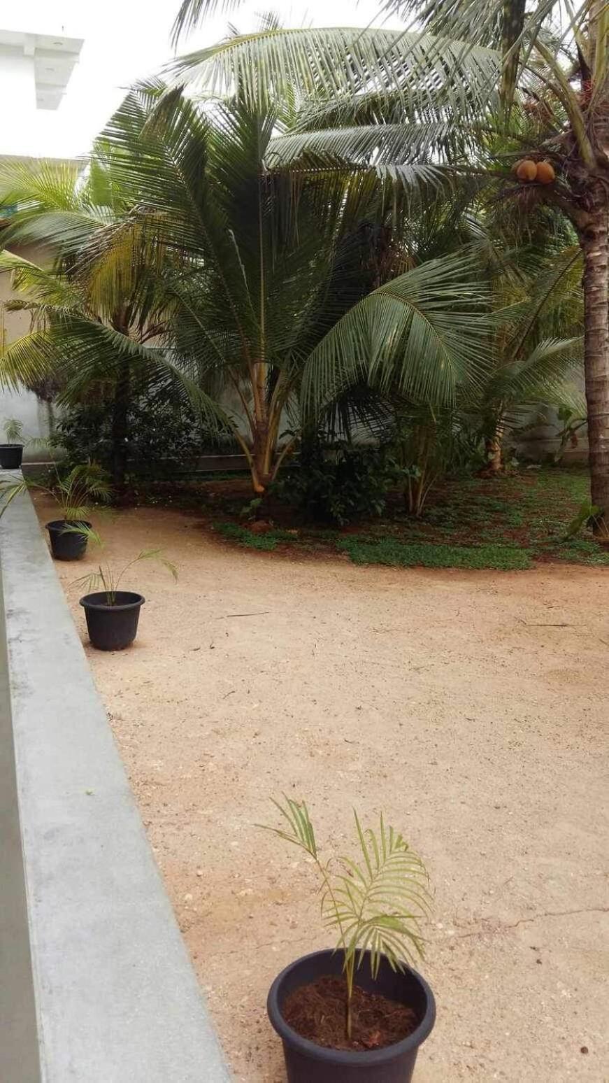 Hotel New Ocean Breeze Madiha Matara Esterno foto