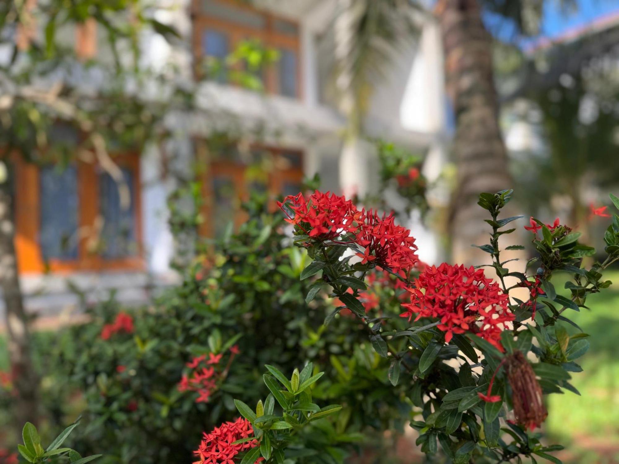 Hotel New Ocean Breeze Madiha Matara Esterno foto